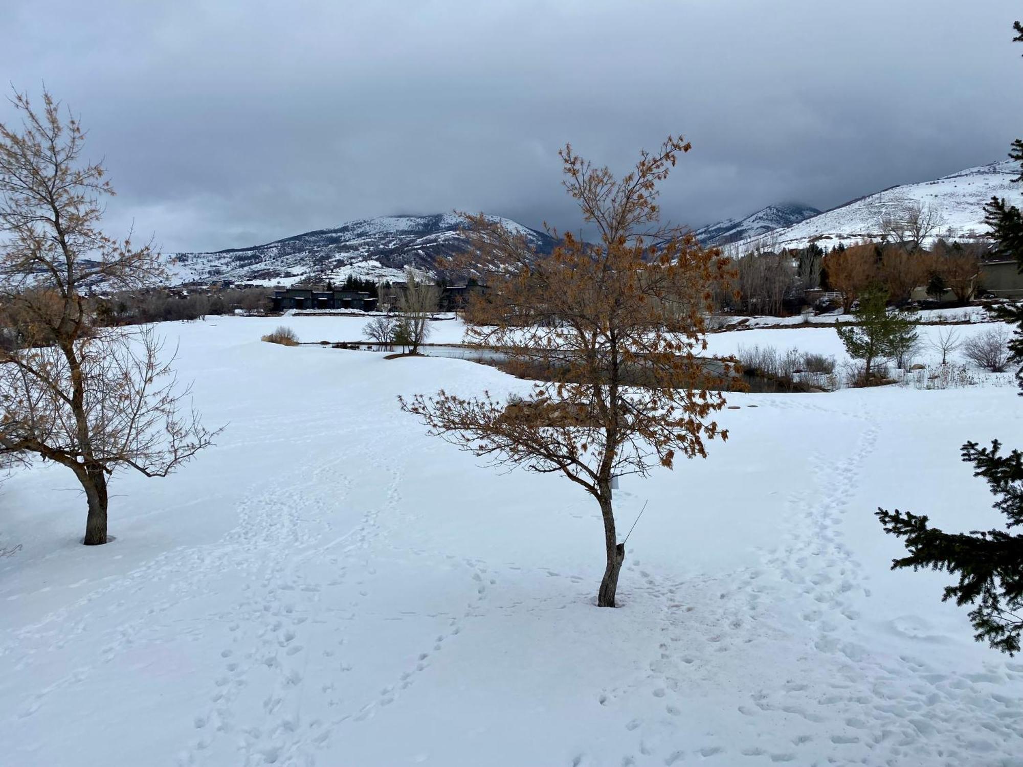 Wolf Creek Lodge Condo In Eden, Ut - Relaxing Mountain Retreat 外观 照片