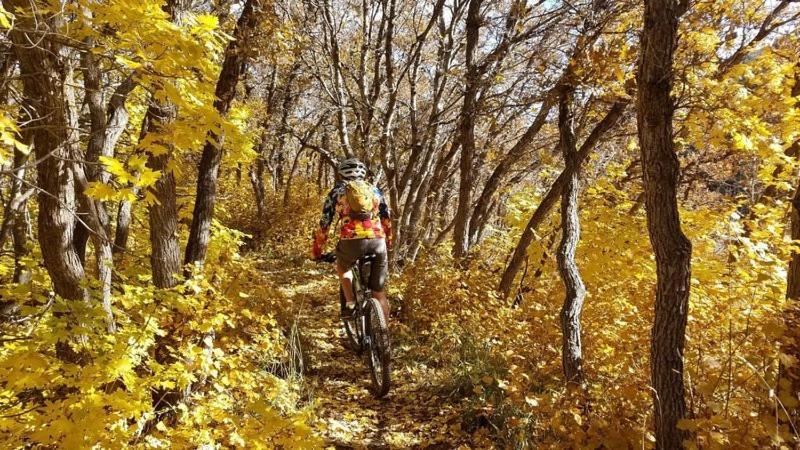 Wolf Creek Lodge Condo In Eden, Ut - Relaxing Mountain Retreat 外观 照片